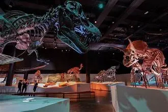 The Houston Museum of Natural Science