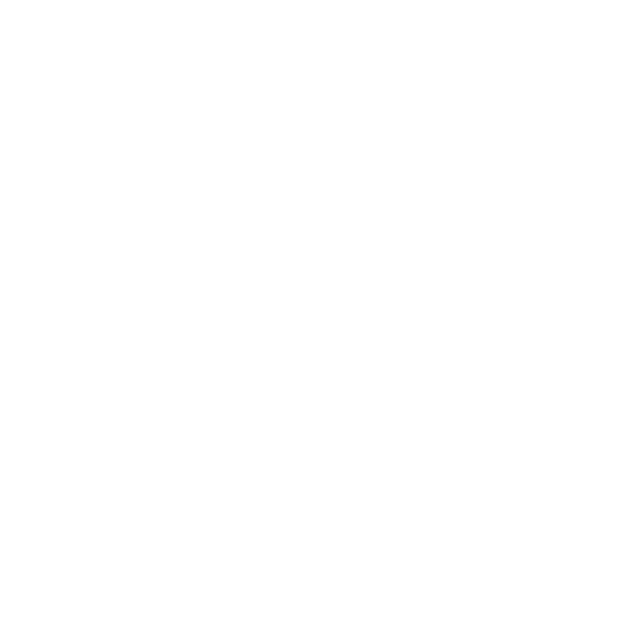 PayX